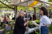 images/series/wijkfestival-oost-2026/Wijkfestival-Oost-2026 (120).jpg